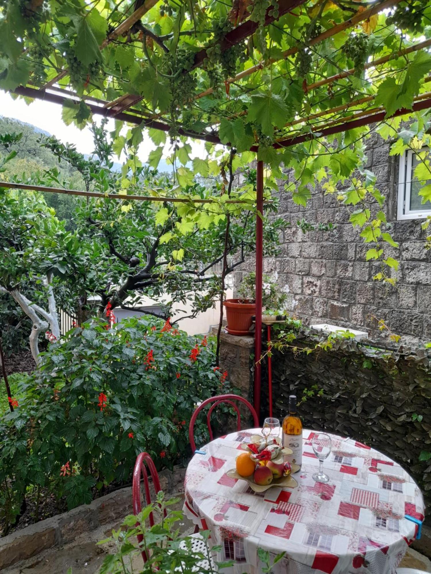Apartments Kovacevic Petrovac Ruang foto