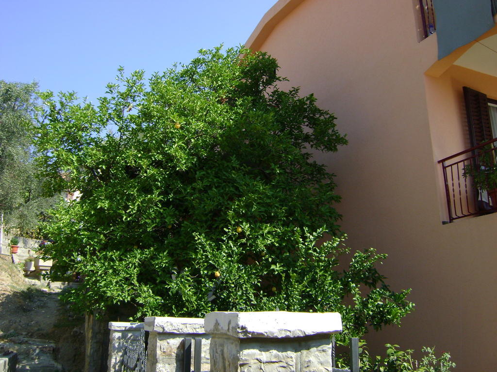 Apartments Kovacevic Petrovac Bagian luar foto